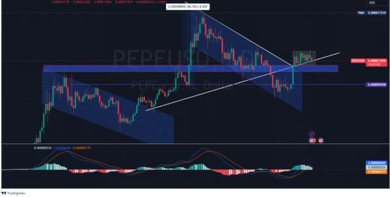 PEPE может вырасти на 80% к концу третьего квартала 2024 года