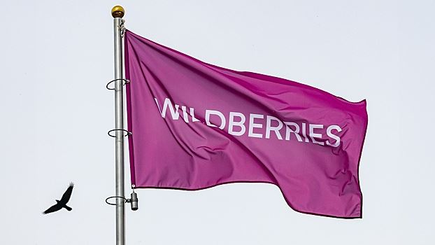 Эксперт оценил последствия спора вокруг Wildberries для экономики России