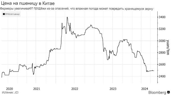 Китай наращивает закупки пшеницы в госрезерв